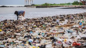 Penampakan Sampah Kembali Menumpuk di Pantai Teluk Labuan