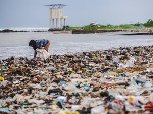 Penampakan Sampah Kembali Menumpuk di Pantai Teluk Labuan Penampakan Sampah Kembali Menumpuk di Pantai Teluk Labuan