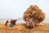 Jawara Kontes Foto Sony Kategori National & Regional, Ada Indonesia