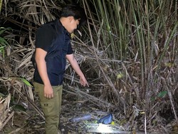 Remaja Pasuruan Diperkosa 2 Pemuda Lalu Dibuang di Tepi Jalan