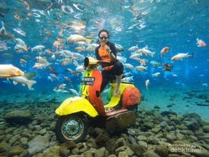 Tak Lengkap Rasanya Bila Tak Foto-foto di Umbul Ponggok Tak Lengkap Rasanya Bila Tak Foto-foto di Umbul Ponggok