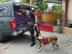 Polda NTB Kerahkan Anjing Pelacak untuk Cari 5 Korban Banjir Bima