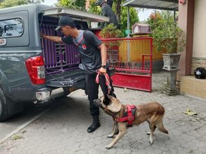 Polda NTB Kerahkan Anjing Pelacak untuk Cari 5 Korban Banjir Bima Polda NTB Kerahkan Anjing Pelacak untuk Cari 5 Korban Banjir Bima