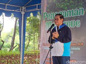 Pramono Mau Bikin Giant Mangrove Wall di Pesisir Jakarta