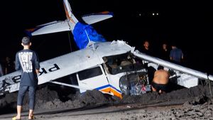 Potret Bangkai Pesawat Cessna yang Jatuh di Banyuwangi