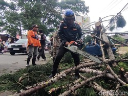 3 Daerah di Jabar Dihantam Bencana: Pohon Tumbang-Angin Kencang