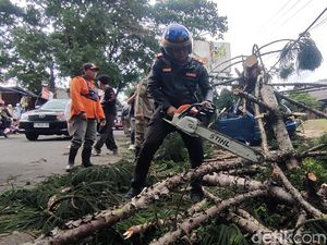 3 Daerah di Jabar Dihantam Bencana: Pohon Tumbang-Angin Kencang 3 Daerah di Jabar Dihantam Bencana: Pohon Tumbang-Angin Kencang