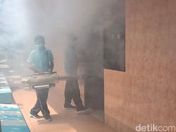 1 Bulan Kasus DBD Capai 178 Orang, Dinkes Gencarkan Fogging