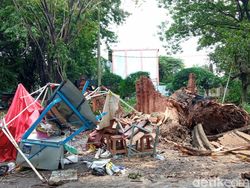 Pohon Tumbang di Kawasan Bima Cirebon Timpa Dagangan-Lukai Pasutri