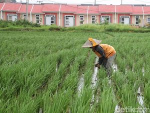 Qatar & Uni Emirat Arab Masuk Proyek 3 Juta Rumah, China Juga Kepincut