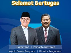Kepala Dewan Pengawas & Direktur Pengadaan Bulog Diganti, Ini Sosoknya