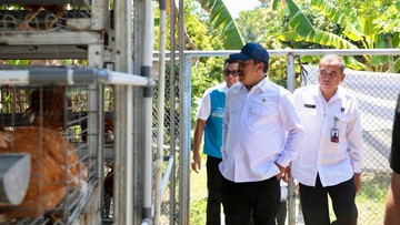 Neraka di Bumi Berubah Surga Pelatihan: Pulau Penjara Bertransformasi