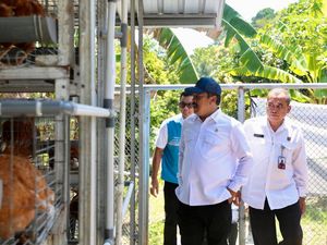 Pulau Penjara Akan Ditransformasi Jadi Percontohan Pusat Pelatihan Warga Binaan Pulau Penjara Akan Ditransformasi Jadi Percontohan Pusat Pelatihan Warga Binaan