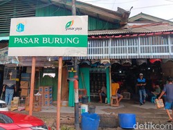 Menengok Pusat Penjualan Burung di Jaktim, Masih Berkicau Seperti Dulu?