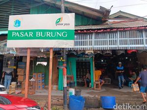 Menengok Pusat Penjualan Burung di Jaktim, Masih Berkicau Seperti Dulu? Menengok Pusat Penjualan Burung di Jaktim, Masih Berkicau Seperti Dulu?