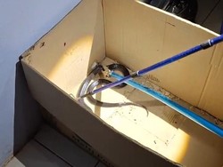 Kobra Jawa Ngumpet Kardus di Gudang Warga Gunungkidul, Proses Evakuasi 10 Menit