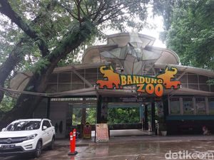 Praperadilan Dua Petinggi Yayasan Bandung Zoo Ditolak! Praperadilan Dua Petinggi Yayasan Bandung Zoo Ditolak!