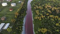 Geger Sungai di Argentina Berubah Merah