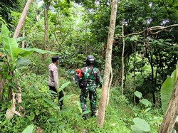Petugas Sisir Sarang Tawon Vespa Usai Warga Ngawi Tewas Tersengat