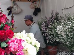 Panen Bunga Potong di Kota Batu Susut Imbas Cuaca Ekstrem
