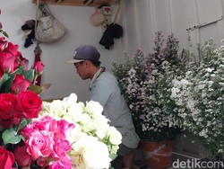 Panen Bunga Potong di Kota Batu Susut Imbas Cuaca Ekstrem