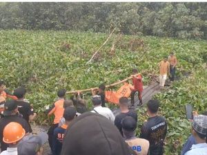 Pria Tewas Diterkam Buaya di Morowali Utara saat Hendak Cuci Tangan
