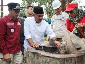 Bupati Kukar Edi Damansyah Panen Jagung Hibrida-Madu Kelulut di Tani Harapan Bupati Kukar Edi Damansyah Panen Jagung Hibrida-Madu Kelulut di Tani Harapan