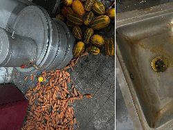 Jorok! Dapur di Restoran Ini Penuh Kecoak dan Sayuran Busuk