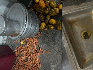 Jorok! Dapur di Restoran Ini Penuh Kecoak dan Sayuran Busuk Jorok! Dapur di Restoran Ini Penuh Kecoak dan Sayuran Busuk