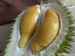 Jangan Dibuang, Ini 5 Manfaat Biji Durian untuk Kesehatan