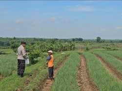 Petani di Bojonegoro Diajak Galakkan Ketahanan Pangan