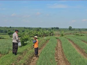Petani di Bojonegoro Diajak Galakkan Ketahanan Pangan Petani di Bojonegoro Diajak Galakkan Ketahanan Pangan