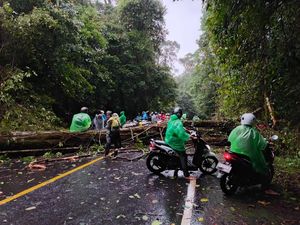 Hujan Angin, Pohon Tumbang Tutup Jalur Menuju Sembalun Lombok Timur