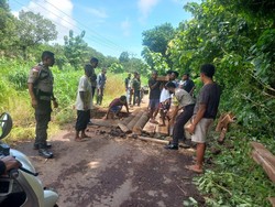 2 Ruas Jalan di Flores Timur Putus Akibat Hujan, Warga Buat Jembatan Darurat