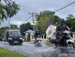 Dampak Cuaca Ekstrem di Mataram: 15 Pohon Tumbang hingga Tanggul Jebol