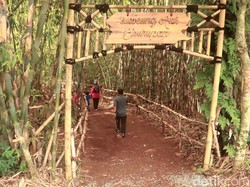 Bukit Mbah Garut, Lokasi Influencer Malaysia Buat Konten Hilang di Hutan