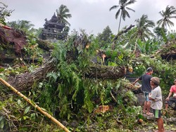 BPBD Catat 69 Kejadian Bencana di Bali dalam Sepekan, Empat Korban Meninggal