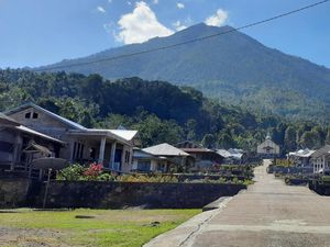 Jadi Surga Rempah di NTT, Desa Ululoga Beri Pengalaman Wisata Menarik Jadi Surga Rempah di NTT, Desa Ululoga Beri Pengalaman Wisata Menarik