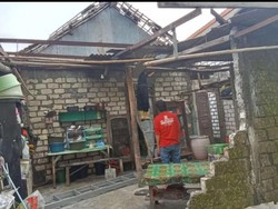 Hujan Angin di Lamongan Robohkan Belasan Pohon Jati dan Sebuah Rumah