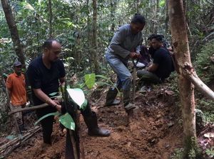 Polisi Tetapkan 4 Tersangka Pembunuhan Wanita Sisa Kerangka di Hutan Sorong Polisi Tetapkan 4 Tersangka Pembunuhan Wanita Sisa Kerangka di Hutan Sorong