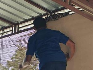 Hiii! Ular Piton 3 Meter Ngumpet di Atap Rumah Warga Tegalyoso Klaten