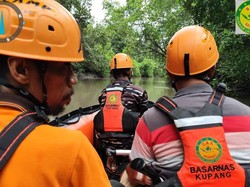 Tim SAR Temukan Jasad Wanita yang Diterkam Buaya Saat Cuci Pakaian