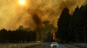Kebakaran Hutan Meluas, Chile Tetapkan Status Darurat