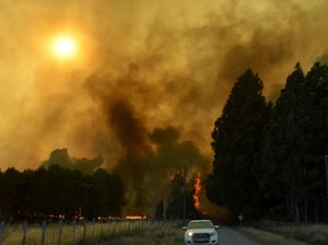 Kebakaran Hutan Meluas, Chile Tetapkan Status Darurat Kebakaran Hutan Meluas, Chile Tetapkan Status Darurat