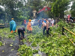 Waspada Cuaca Ekstrem di Tabanan Bali, Satgas Siaga Bencana Disiagakan