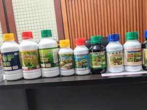 Industri Rumahan Pupuk Cair Ilegal di Situbondo Digerebek