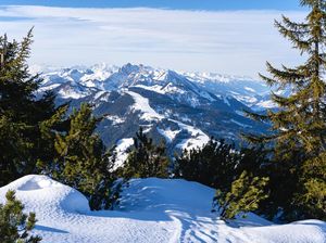 Turis Ini Jatuh ke Tebing saat Main Ski di Pegunungan Alpen, Alami Luka Parah Turis Ini Jatuh ke Tebing saat Main Ski di Pegunungan Alpen, Alami Luka Parah