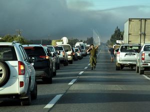 Video: Kebakaran Hutan di New York, Warga Sekitar Diminta Mengungsi