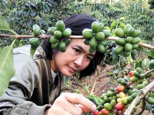 BNI Dukung UMKM Kopi Garut Swasembada Pangan & Tembus Pasar Global BNI Dukung UMKM Kopi Garut Swasembada Pangan & Tembus Pasar Global