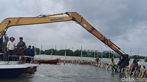 Penampakan Pagar Laut di Bekasi yang Ternyata buat Reklamasi